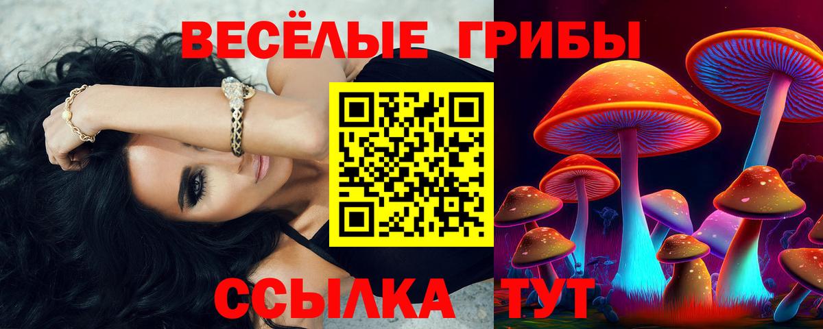 Псилоцибиновые грибы MAGIC MUSHROOMS Нижний Новгород
